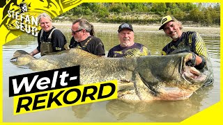 WELTREKORD WELS 281cm  World Record Catfish 923 feet  Der Fisch des Lebens [upl. by Bel957]