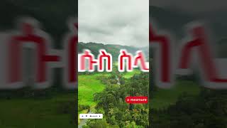 ውኃ ውኃ እንዳይል Kalkidan Tilahun ቃልኪዳን ጥላሁን ሊሊ  Amharic Lyrics mezmurprotestant [upl. by Sualohcin]