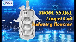 3000L stainless steel SS316L limpet coil jacketed industry reactor made by factory supplier WHGCM [upl. by Epilihp]