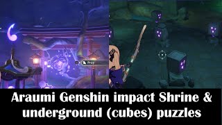 Araumi Genshin impact Shrine amp underground puzzlesCleansing defilement Quest location [upl. by Manny]