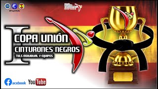 I Copa Unión  Cinturones Negros TaekwonDo ITF [upl. by Waylen775]