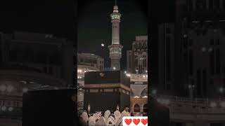 Islamic whatsapp status quran beautiful islamicquotes [upl. by Rutherfurd]