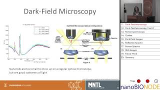 Using Photonic Crystals to Enhance SERS Signals for Early Detection of Caitlin Race [upl. by Hestia]