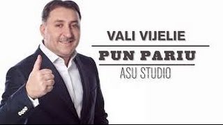 VALI VIJELIE  PUN PARIU [upl. by Libenson]