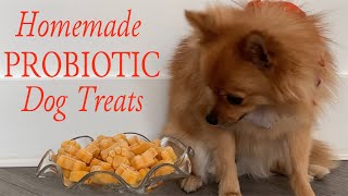 DIY Probiotic Dog Treats [upl. by Onig]