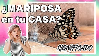 🦋 ¿Qué SIGNIFICA que una MARIPOSA entre a tu CASA 🌟🏠 significado de las mariposas [upl. by Kallman]