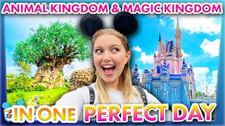 Magic Kingdom and Animal Kingdom in ONE PERFECT DAY  Park Hopping in Disney World [upl. by Adah]