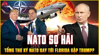 NATO đang sợ hãi vì Nga TRÚT BOM HẠNG NẶNG Vì sao TỔNG THƯ KÝ NATO bay đến gặp TRUMP TRONG ĐÊM AP [upl. by Misha319]