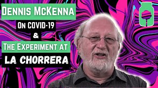 Dennis McKenna Talks About COVID19 and the Experiment at La Chorrera [upl. by Gomez]