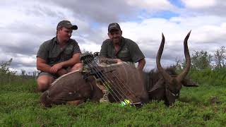 Nyala Hunt in the Eastern Cape of South Africa  Ubuninzi Hunting Safaris [upl. by Walczak]