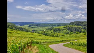 A Few Days Exploring the CôtedOr in Burgundy France [upl. by Nossyla38]