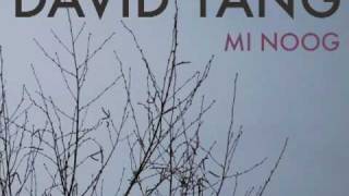 Mi Noog Remix Cover David Yang [upl. by Irtimd]