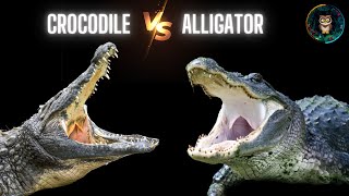 Crocodile vs Alligator 🐊 Nature Documentary [upl. by Johnstone]