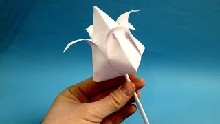 how to make paper tulip paper tulip flower [upl. by Ahsinroc]