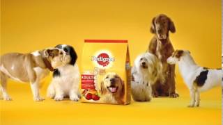 Pedigree® NEW 15sec TVC English [upl. by Manlove]