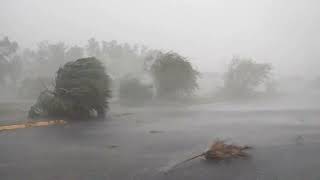 Damage Seen After Hurricane Idalia Hits Florida [upl. by Edrahs14]