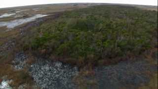 Everglades Mountains and Valleys Tropical Hardwood Hammock [upl. by Friedly]