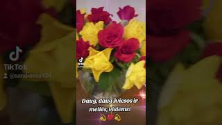 tarot 💥💯Visiems nuostabios dienos puikios nuotaikos ir daug daug šviesos bei meilės‼️💥💯💫❤️💫🌿🌹🌿 [upl. by Eelyak]