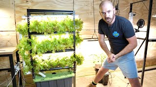 DIY Home Hydroponics Indoor Vertical System Set Up amp Timelapse [upl. by Uri822]