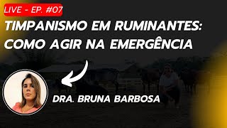 Live EP 07  Timpanismo em Ruminantes Como Agir na Emergência  05112024 [upl. by Kolnos]