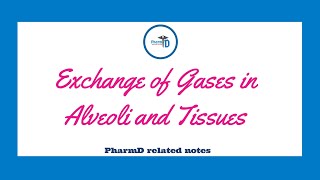 Exchange of Gases in Alveoli and Tissues [upl. by Nyasuh]