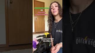 Dog Desensitization vs Counterconditioning puppytraining puppyshorts [upl. by Aikyt924]