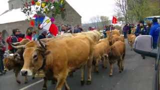 Transhumance Aubrac1 2013 [upl. by Plumbo]