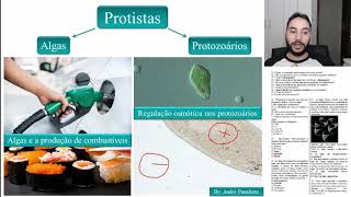 02  Protistas  Protozoários e protozoonozes [upl. by Guendolen384]