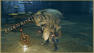 Elden Ring DLC Is Finally Here Elden Ring [upl. by Novyert144]