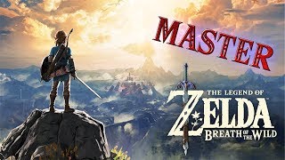 Best of Zelda Breath of the Wild  Master Mode [upl. by Aihsenot448]