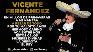 Vicente Fernández  Un Millón de Primaveras Letra  Lyrics [upl. by Iren]