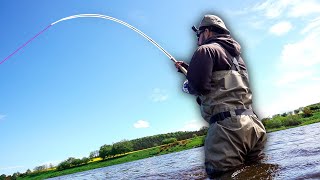 Trying to Catch The RAREST Fish in the UK [upl. by Wadell]