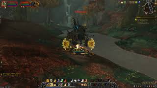 Battle for Azeroth Quest 192 WANTED Rindlewoe WoW human Paladin [upl. by Hermia]