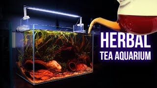 I made UNIQUE TEAINFUSED BETTA AQUARIUM  Step by step AQUASCAPING TUTORIAL  EP1 [upl. by Leidag460]