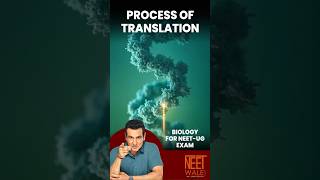 Process of TRANSLATION  Molecular Basis of Inheritance  Biology for NEETUG EXAM neet biology [upl. by Lad]