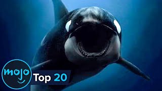 Top 20 Documentary Films of the Century So Far [upl. by Elac900]