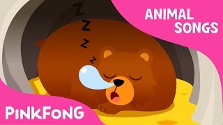 Hibernation Song  Animal Songs  PINKFONG Songs for Children [upl. by Salokin341]