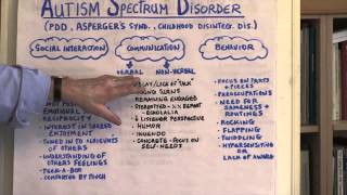 What Is Autism Spectrum Disorder [upl. by Adnima57]