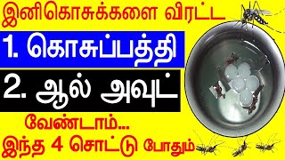 இந்த நாலு சொட்டு போதும் ஒரு கொசு கூட உங்க வீட்டு பக்கமே வராது  mosquitoes KILLER kosu thollai poga [upl. by Manheim]