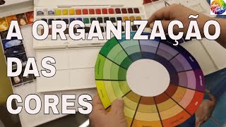 A ORGANIZAÇÃO DAS CORES 😉 [upl. by Luca]