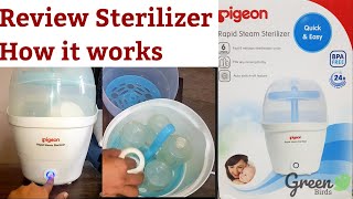 Review Pigeon Rapid Steam Sterilizer I How To Sterilize Baby Bottles [upl. by Phaidra368]