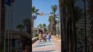 📍TORREMOLINOS 🇪🇦 Beautiful Holiday Destination on Costa del Sol Spain travel andalucia summer [upl. by Flowers]