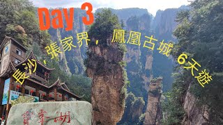 Day 3 長沙、張家界、鳳凰古城、芙蓉鎮 純玩6天  Changsha Zhangjiajie Fenghuang Ancient City 6Days Tour [upl. by Vinn]