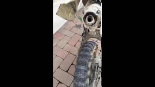 PitBike Ycf 140cc con Akrapovic sound con db killer [upl. by Ellenwahs]