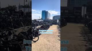 10 Million Worth of Bikes at Ironman Arizona ironmantri ironmantraining endurancetraining [upl. by Ronacin]