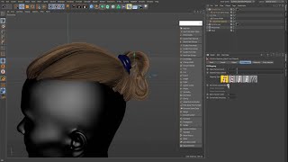 Ornatrix C4D Generating Hairs from Polygon Strips [upl. by Acinot320]