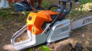 Stihl ms 881 first start amp cutting vs Husqvarna 3120xp [upl. by Granville832]