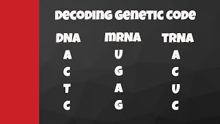 Decode from DNA to mRNA to tRNA to amino acids [upl. by Eidnas]