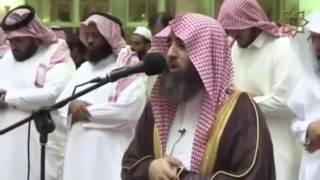 Mesmorising Recitation  Surah Al Furqan 6977 English Subtitles Sheikh Muhammad Al Luhaidan [upl. by Sass]