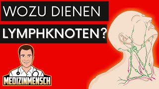 Wozu dienen LYMPHKNOTEN  Arzt erklärt Funktion [upl. by Salokcin]